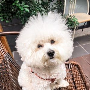 Meet your Posher, Mimi